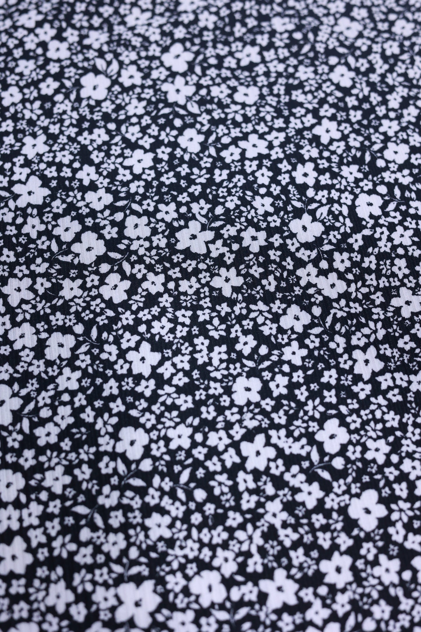 (Rib) White Ditsy Florals On Black