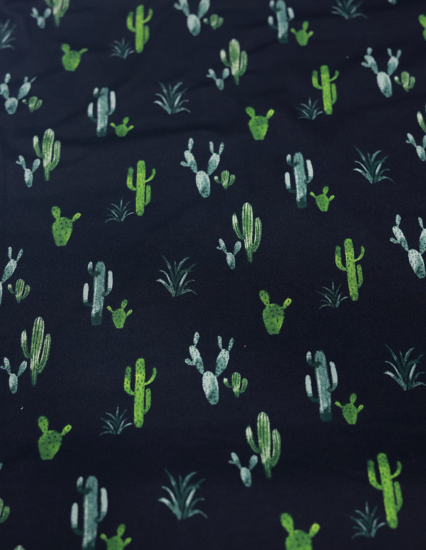 (DBP) Green Cactus On Black