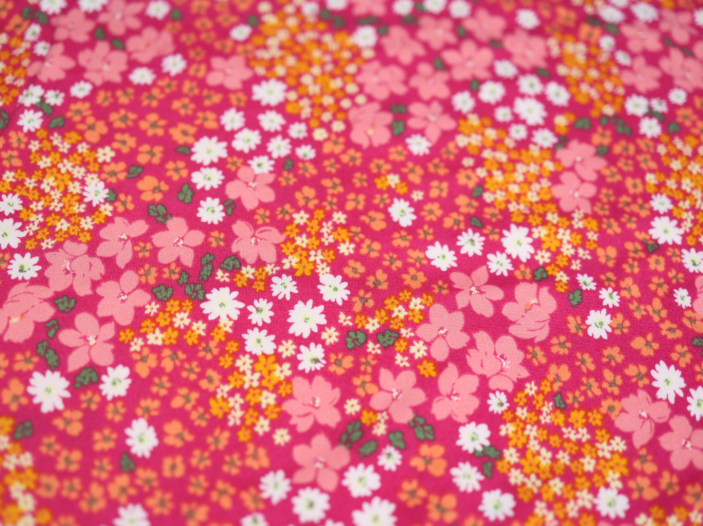 (DBP) Floral Patch Bloomfield Fuchsia
