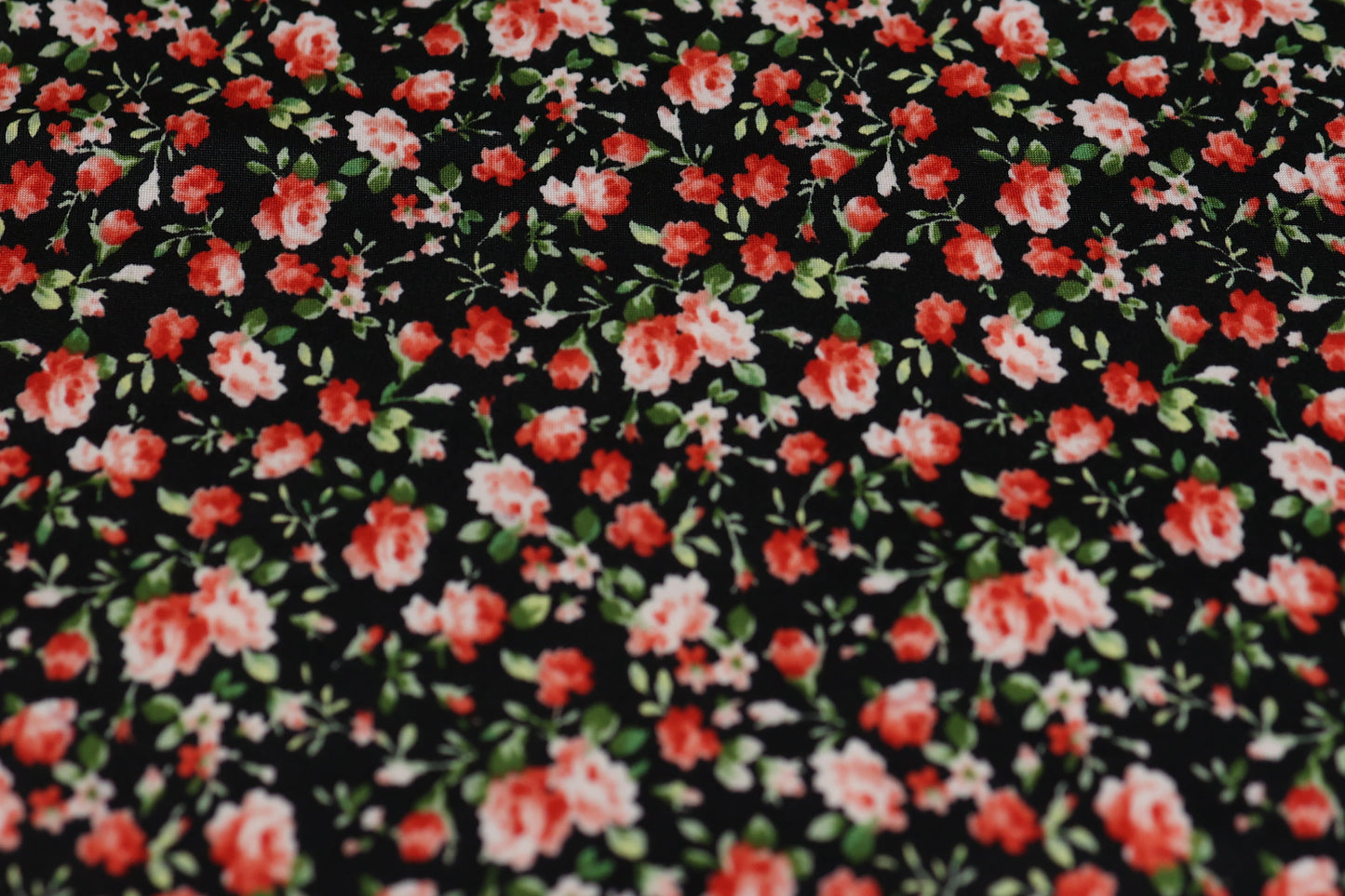 (DBP) Coral Roses On Black