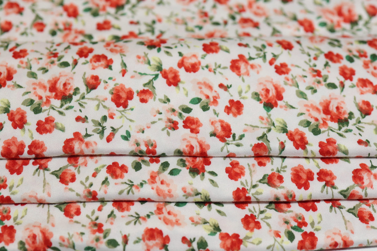 (DBP) Coral Roses On White
