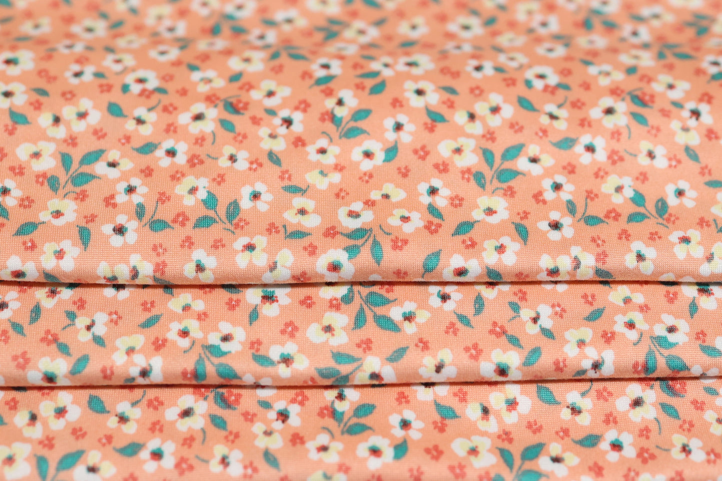 (DBP) Wildflowers On Peach