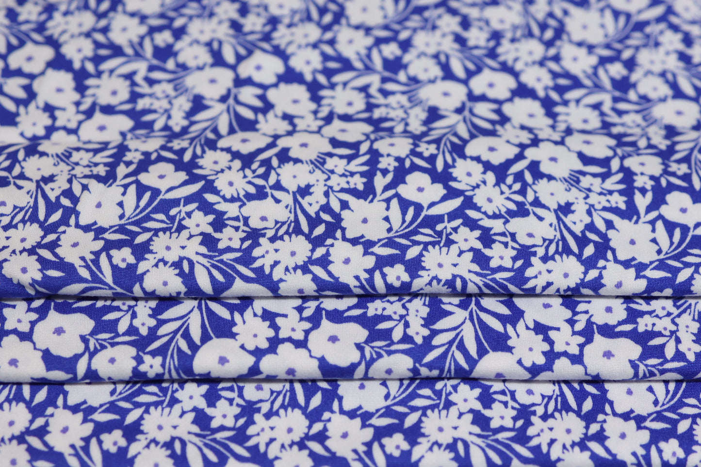 (DBP) Royal Blue Daisy Bliss