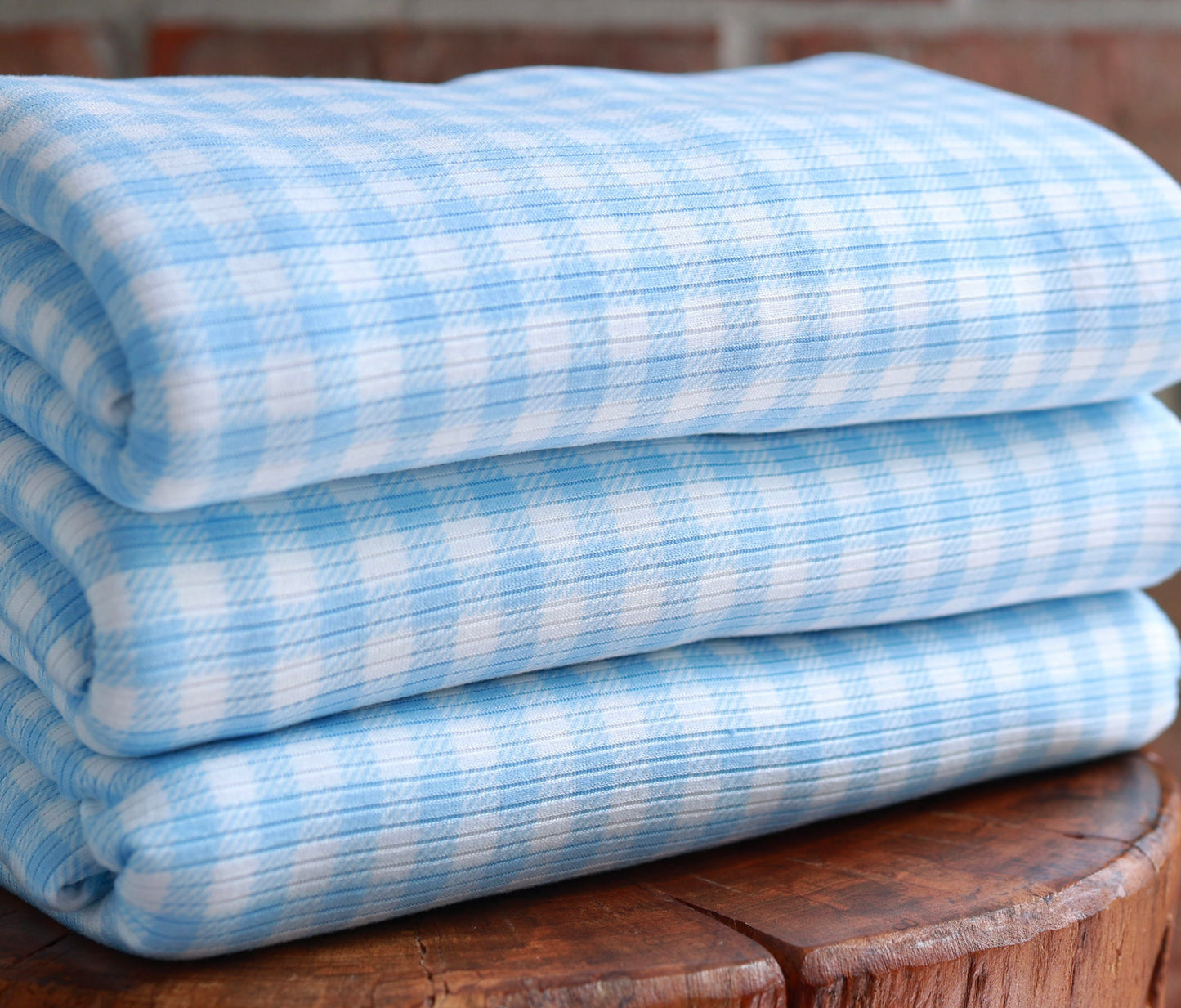 (Rib) Gingham Plaid Baby Blue