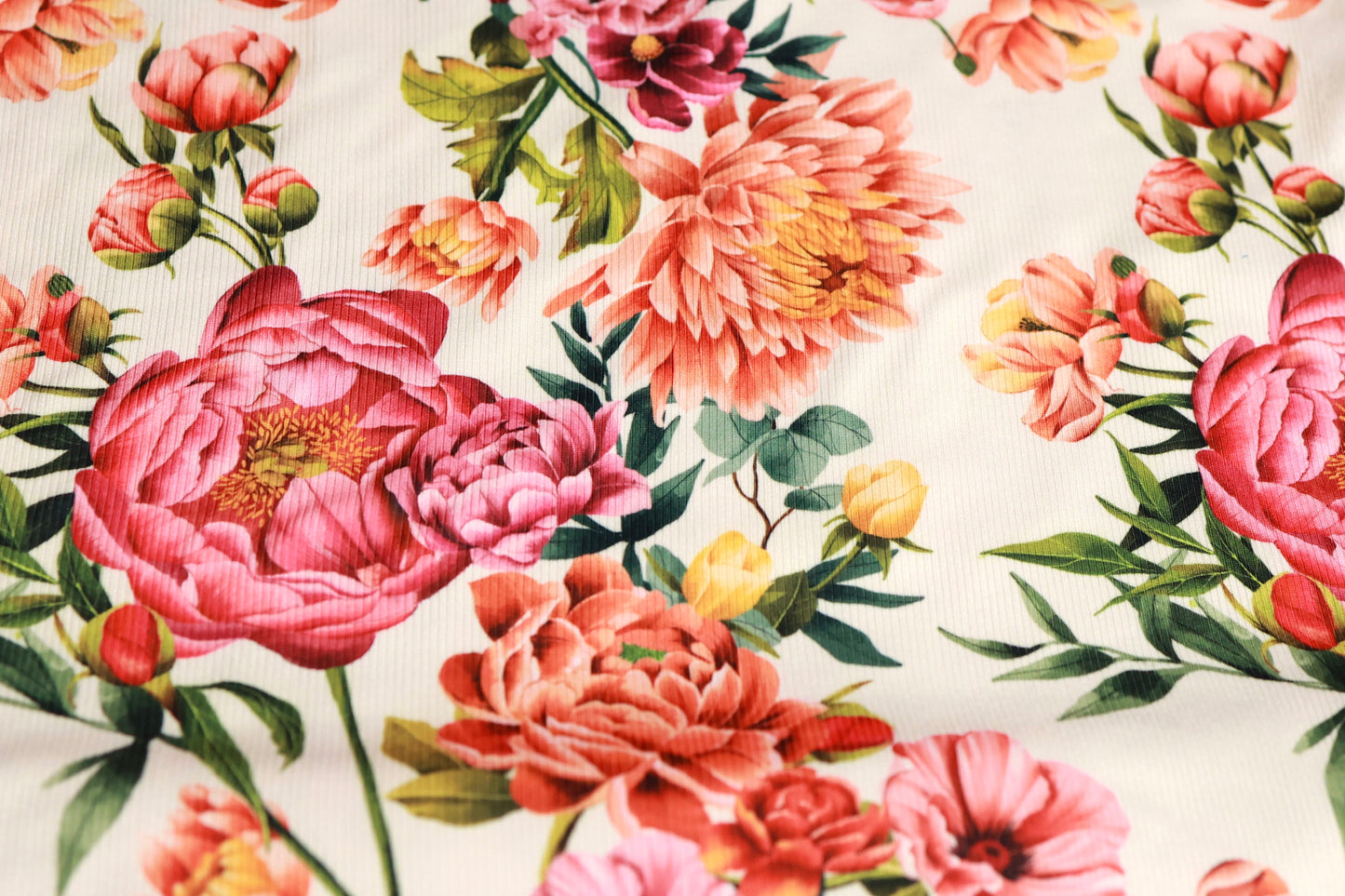(Rib) Coral Floral On Cream