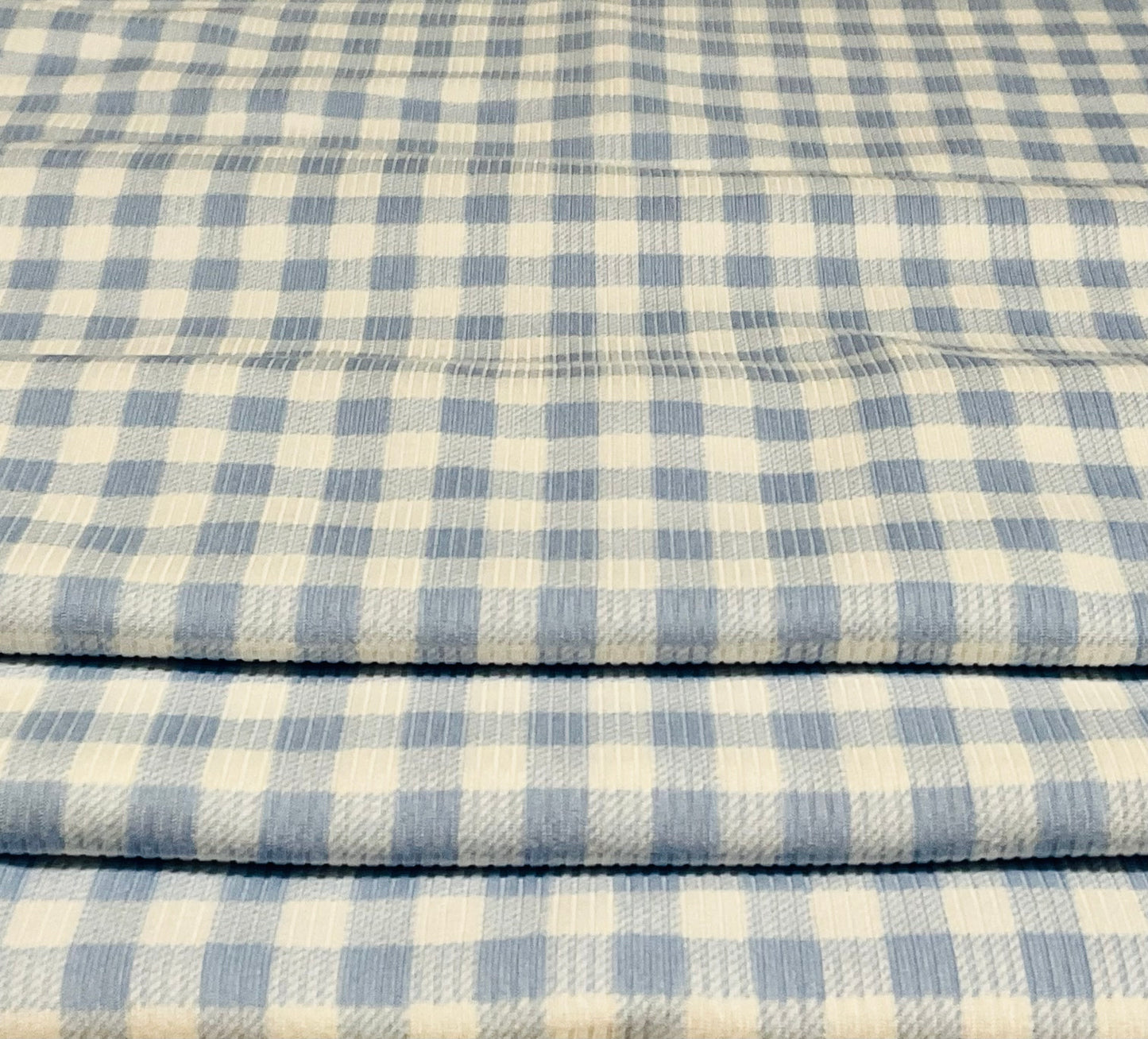 (Rib) Gingham Plaid Blue