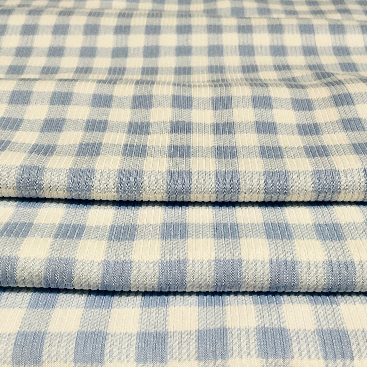 (Rib) Gingham Plaid Blue