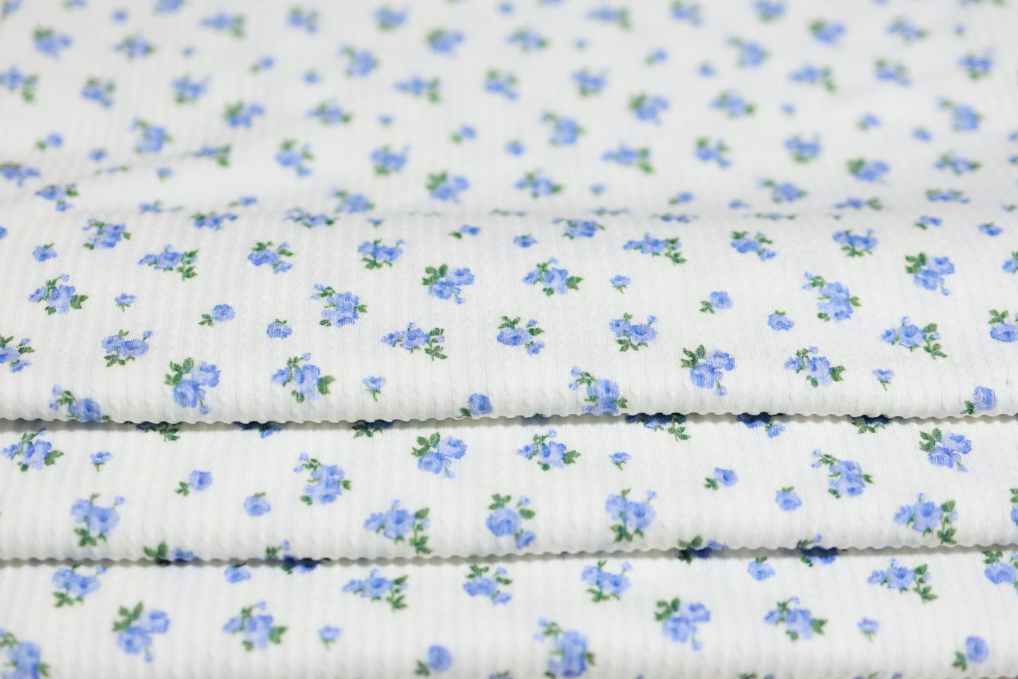 (Urban Rib) Blue Flowers On Ivory