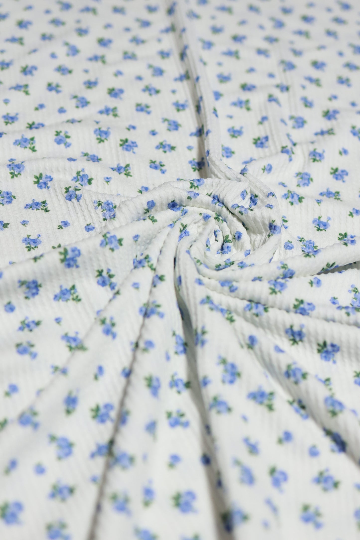 (Urban Rib) Blue Flowers On Ivory