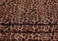 (Rib) Cheetah On Ash Brown
