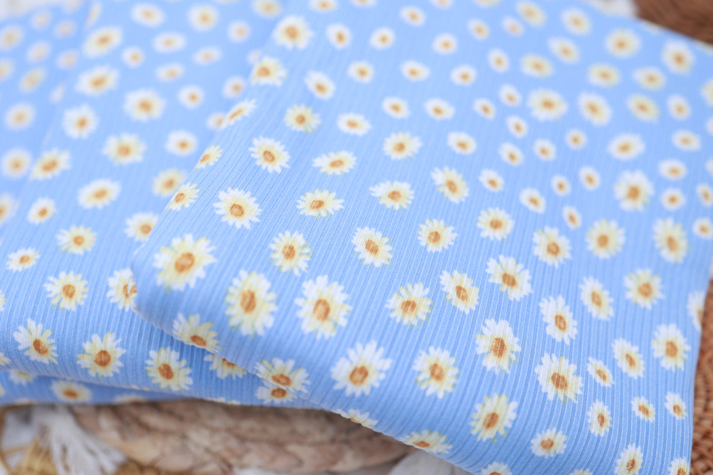 (4X2 Rib) Blue With White Daisy