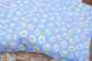 (4X2 Rib) Blue With White Daisy