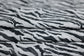 (Swim) Zebra Glitter