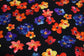 (Swim) Multi Floral Black