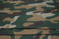 (Rib) Camo Moss/Green/Mocha