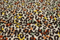 (Rib) Cheetah Multicolor
