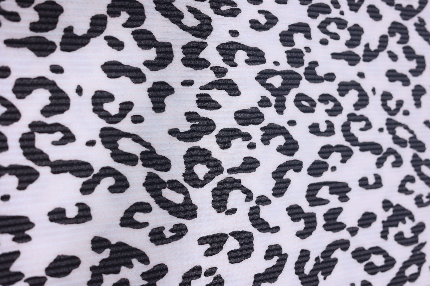 (Urban Rib) Leopard On Ivory