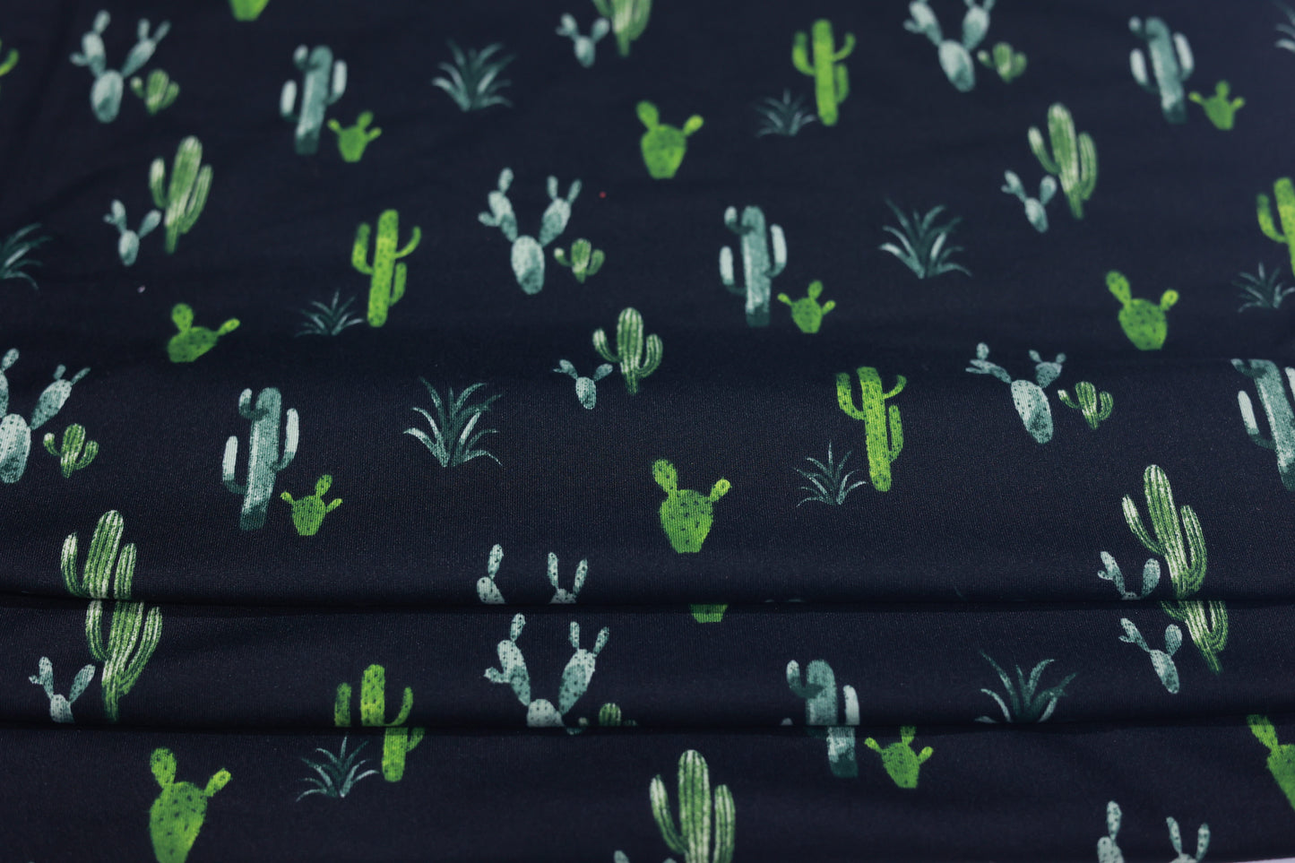 (DBP) Green Cactus On Black