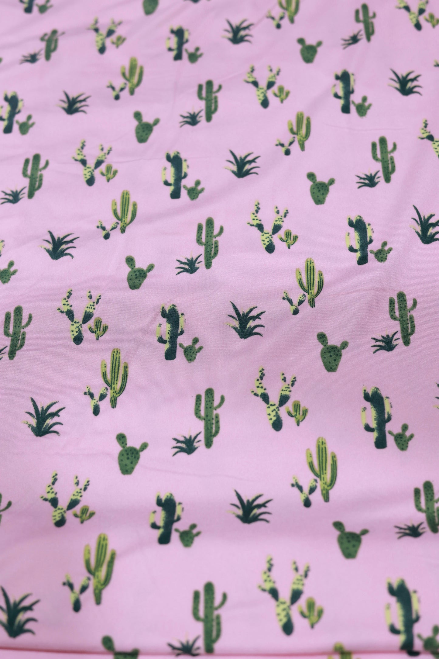 (DBP) Green Cactus On Pink