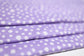 (DBP) Ditsy Floral on Lilac