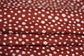 (DBP) Ditsy Floral on Brown