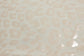 (Yoga) Cheetah Foil On Buff Beige