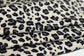 (DBP) Leopard on Cream
