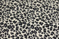 (DBP) Leopard on Cream
