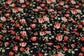 (DBP) Coral Roses On Black