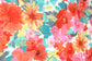 (DBP) Coral Watercolor On White