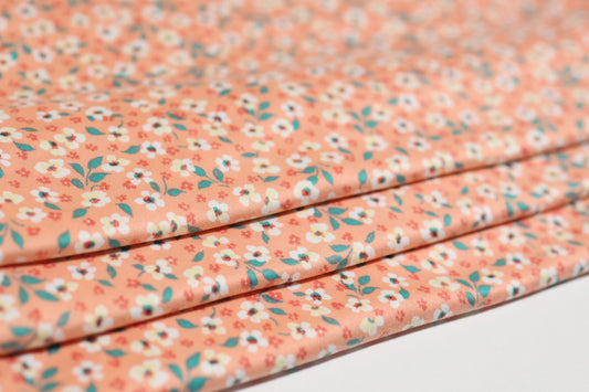 (DBP) Wildflowers On Peach