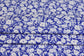 (DBP) Royal Blue Daisy Bliss