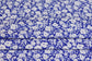 (DBP) Royal Blue Daisy Bliss