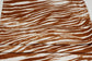 (DBP) Brown Tiger Stripes On White