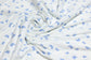 (Rib) Blue Bows On Ivory