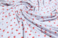 (Rib) Strawberry On Blue Gingham