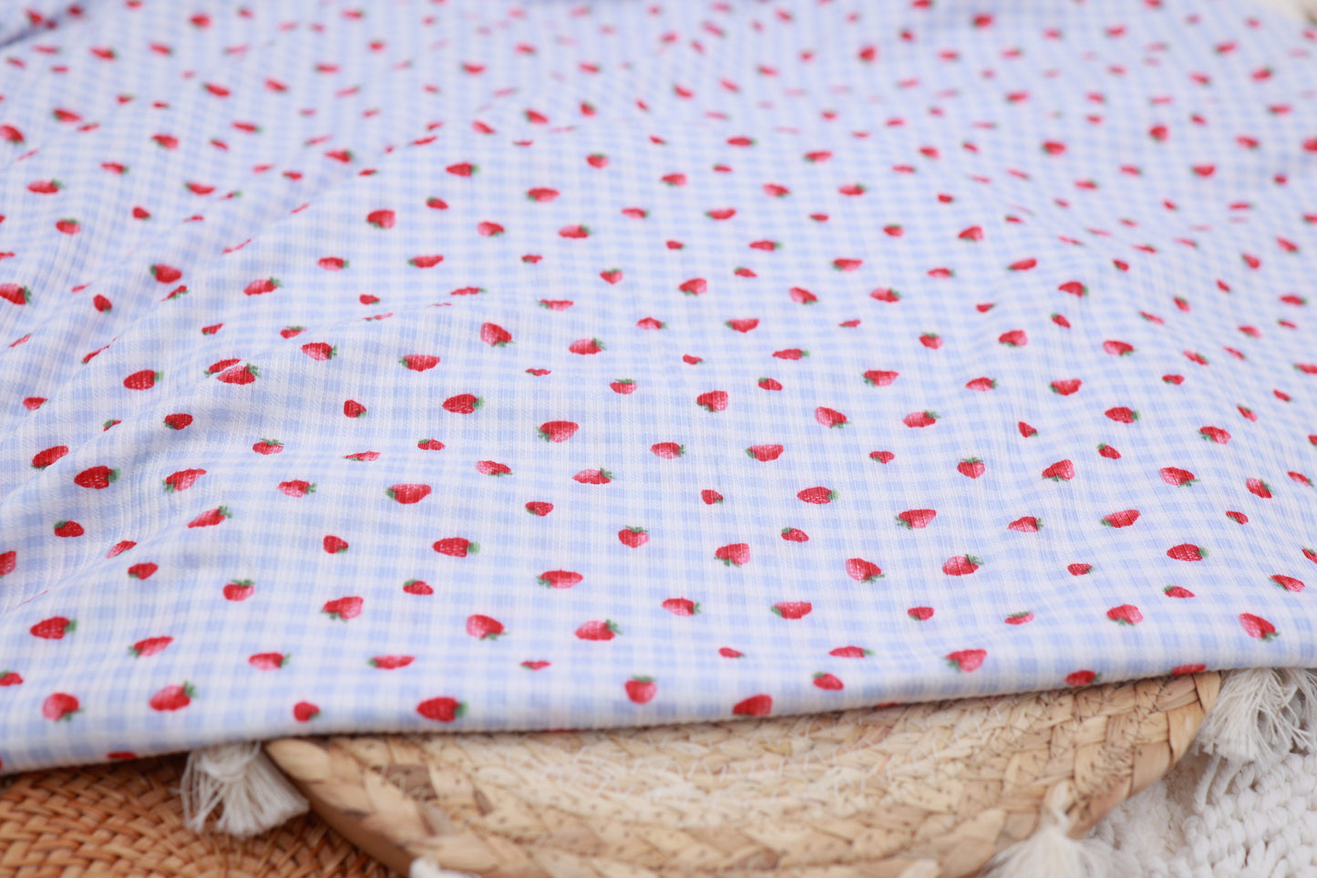 (Rib) Strawberry On Blue Gingham