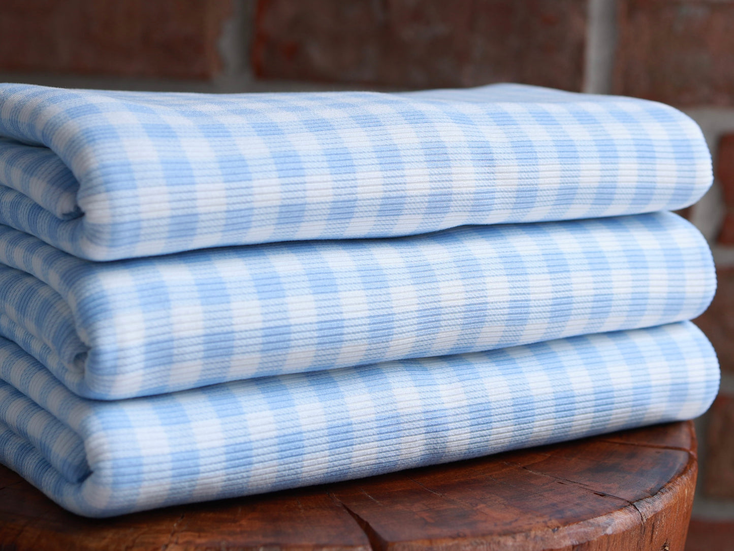 (Rib) Gingham Plaid Blue