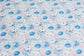 (DBP) Moon Phases On Baby Blue