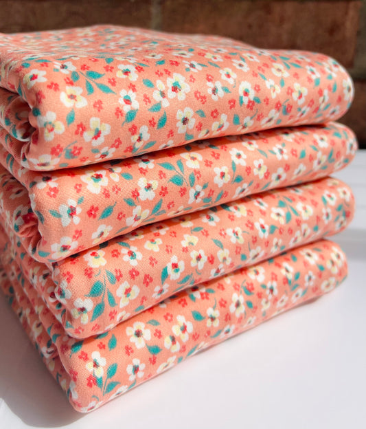 (DBP) Wildflowers On Peach